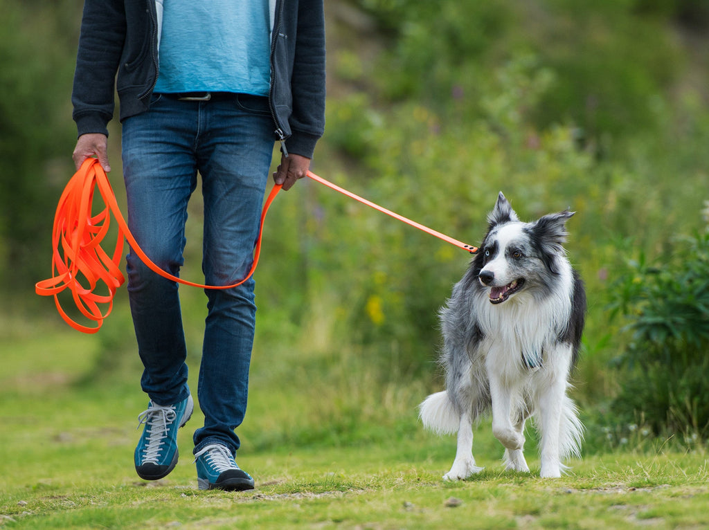 Herrchen und Hund mit orangener Schleppleine
