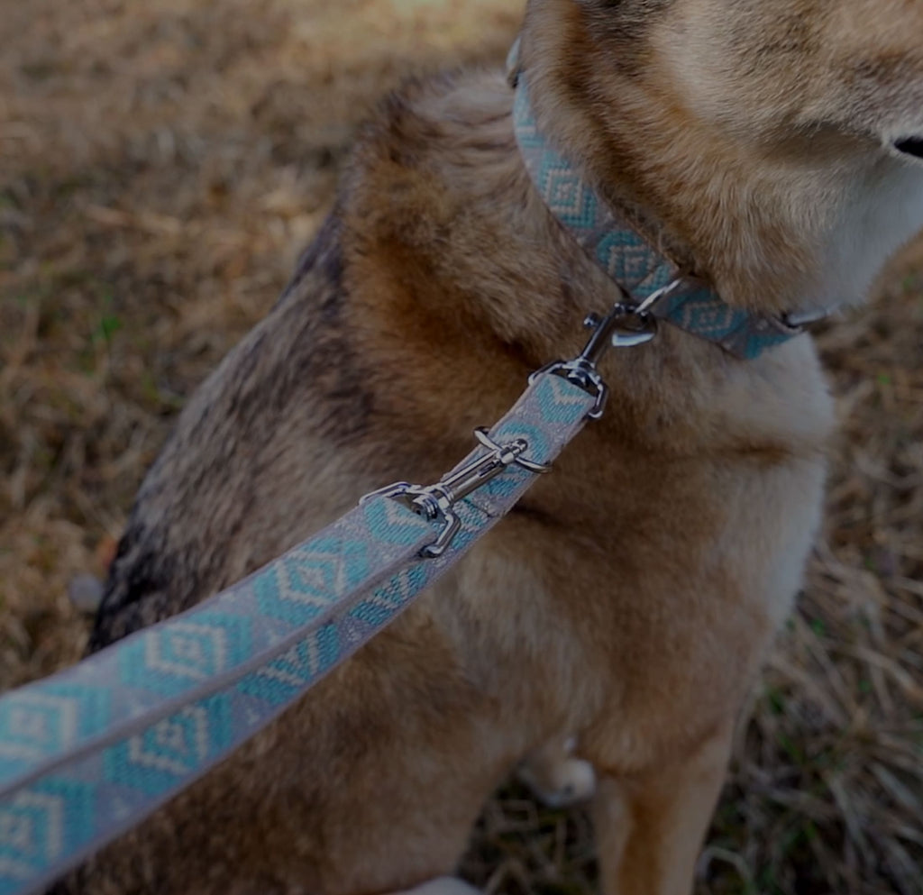 Hund mit einer Boho Hundeleine