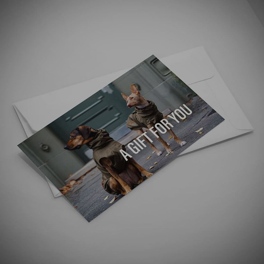 Gutscheinkarte THE DOG IDEA mit Umschlag