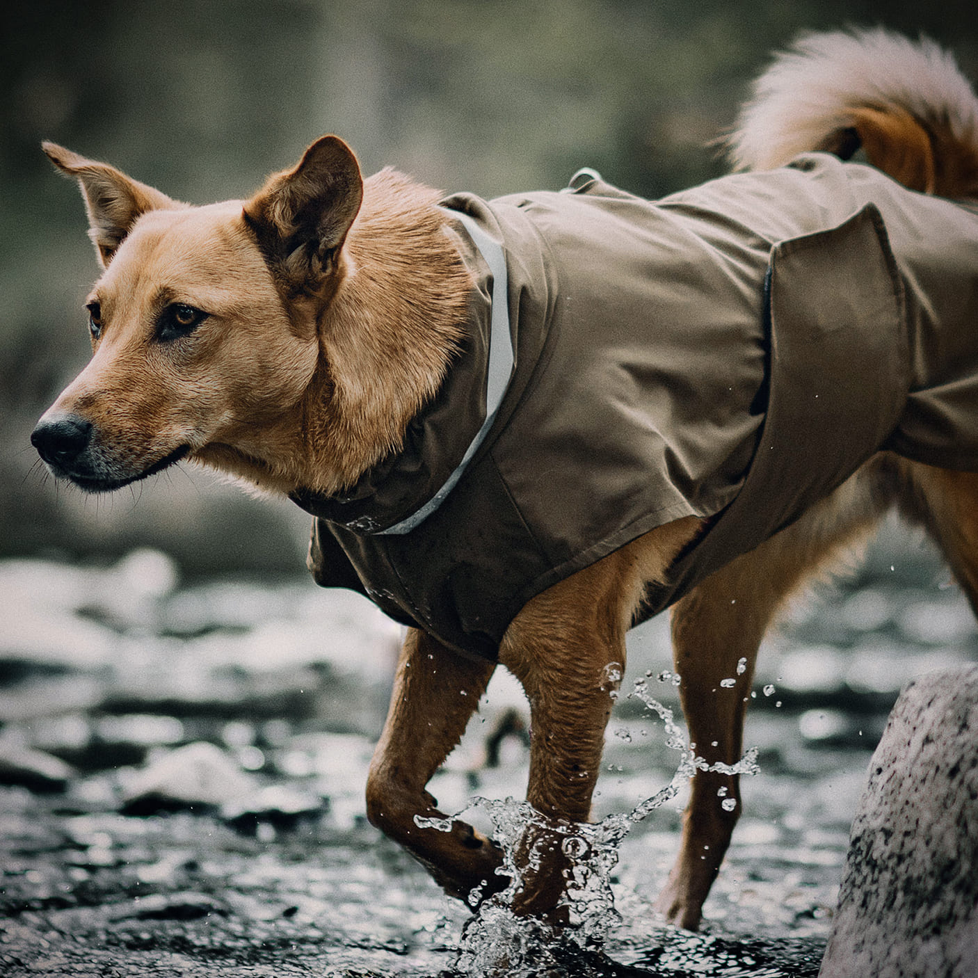 Hundebademntel extra Saugstark - weiche Bambus-Viskose  THE DOG IDEA