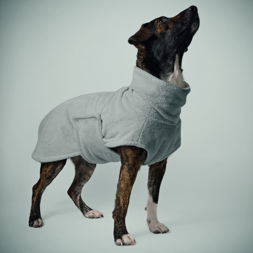 Mischlingshund trägt einen Hundebademantel in Mint