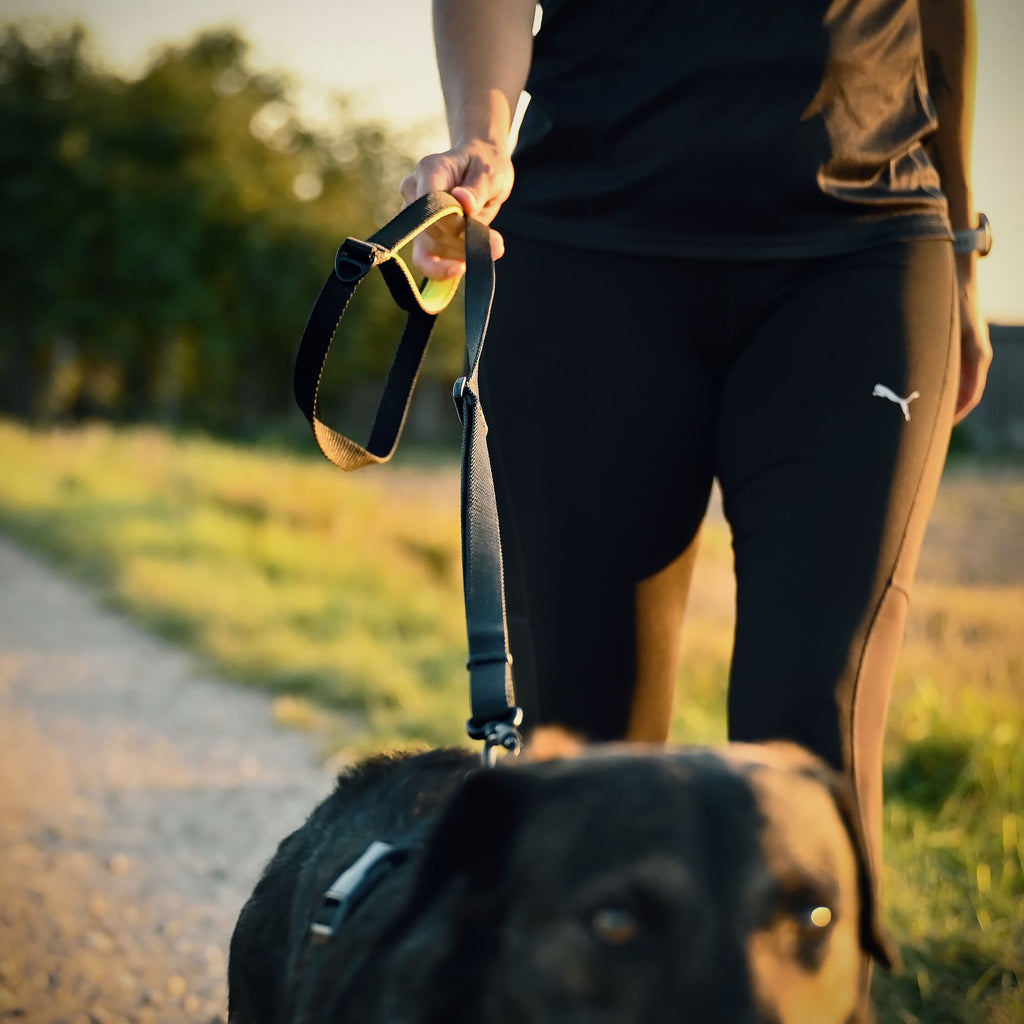 Hundehalterin mit sportlicher Hundeleine beim Gassigehen