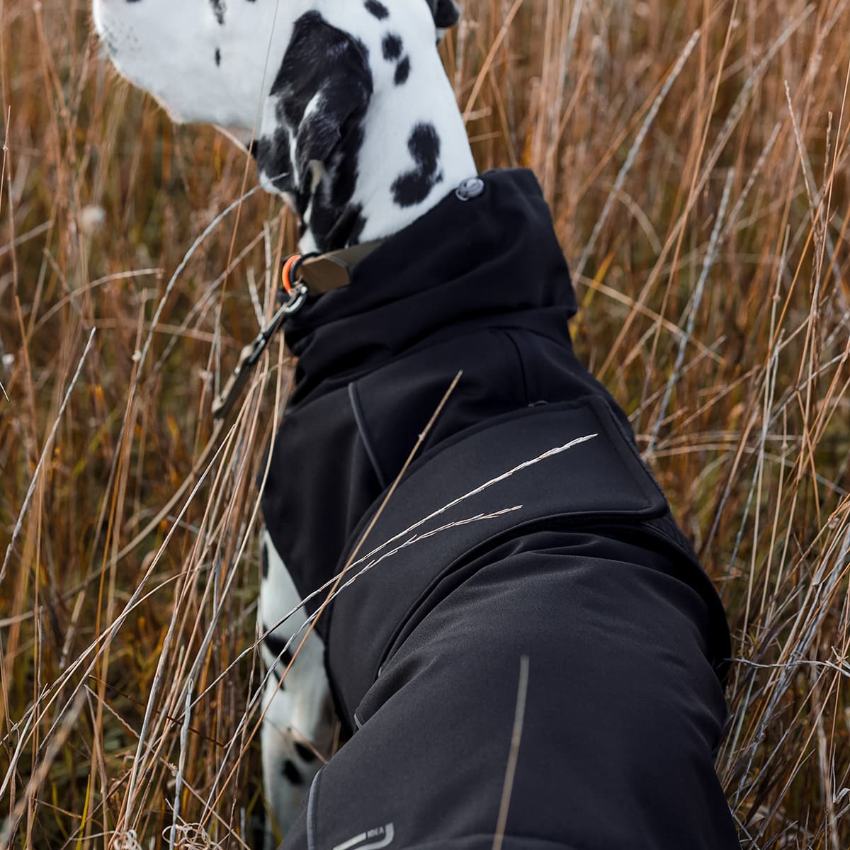 Hundemantel Winter All Black
