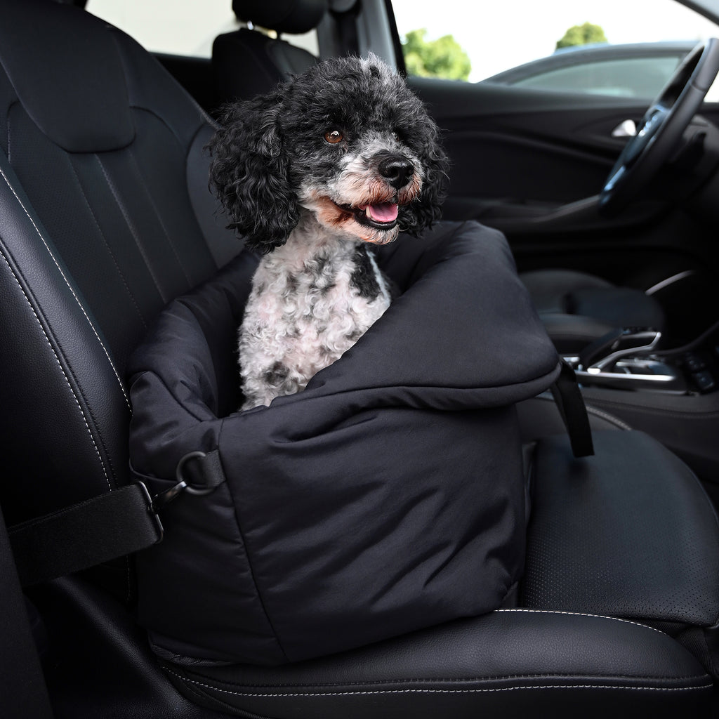 Hund in Auto Reisetasche Beifahrer Schwarz