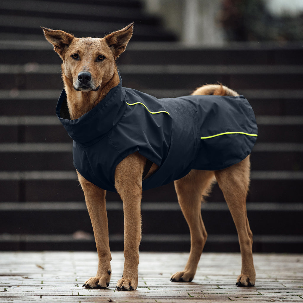 Hund trägt einen Regenmantel in Navy mit gelbem Reflektor