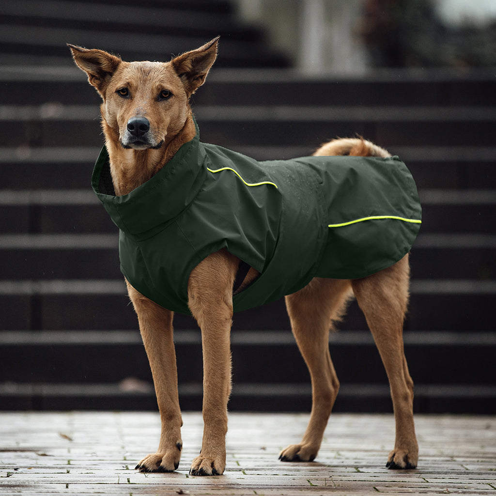 Hund trägt einen Regenmantel in Khaki mit gelbem Reflektor