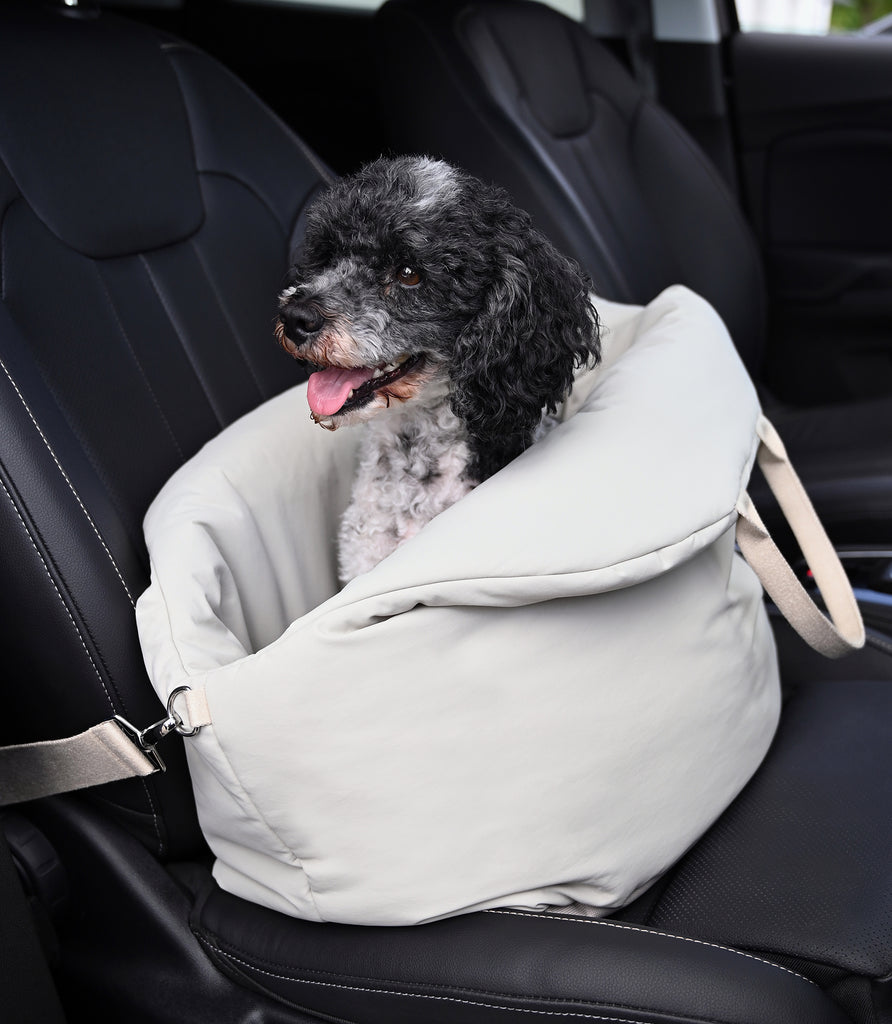 Hund in Auto Reisetasche Beifahrer
