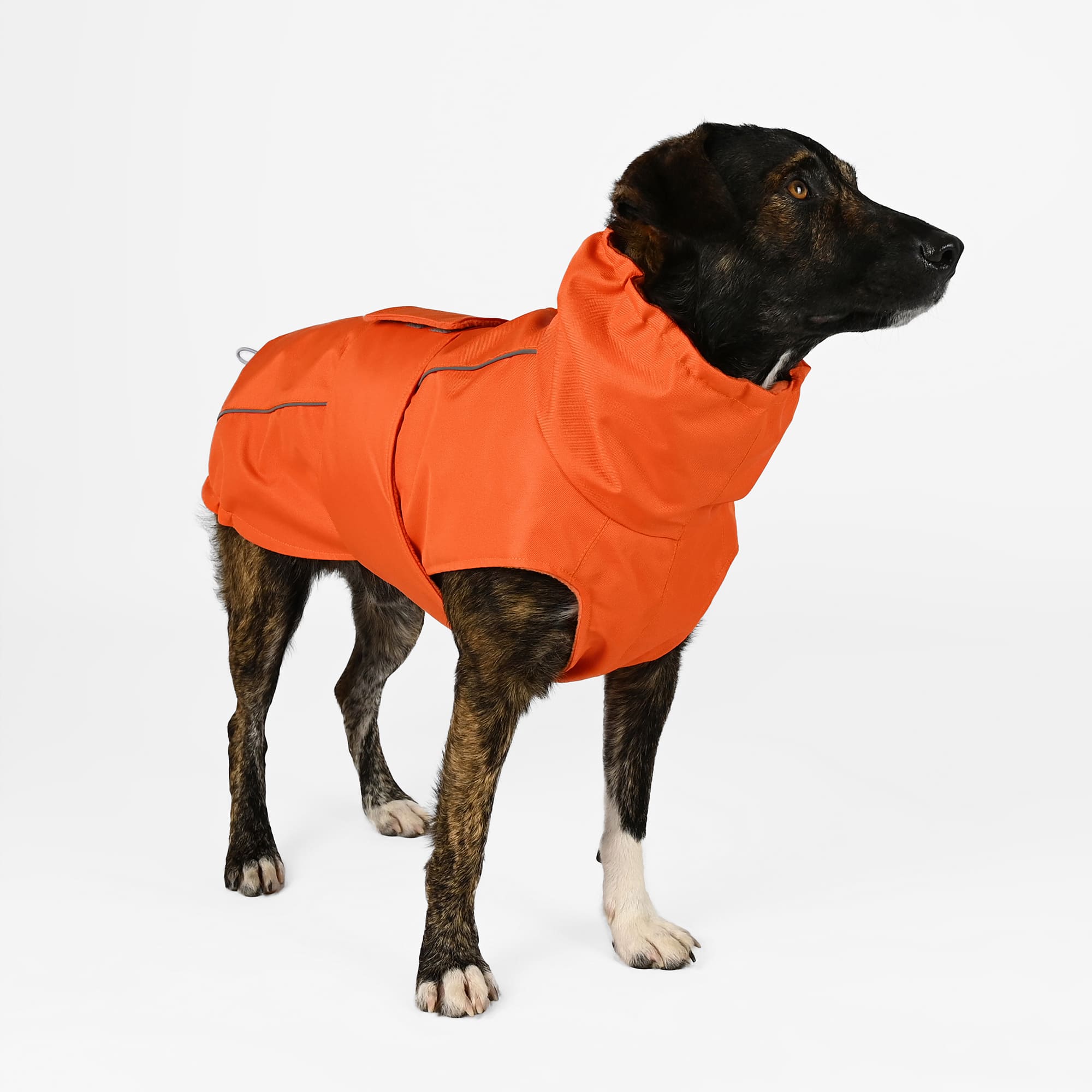 hundemantel winter mit bauchschutz Besonderer Hundemantel Winter in Orange