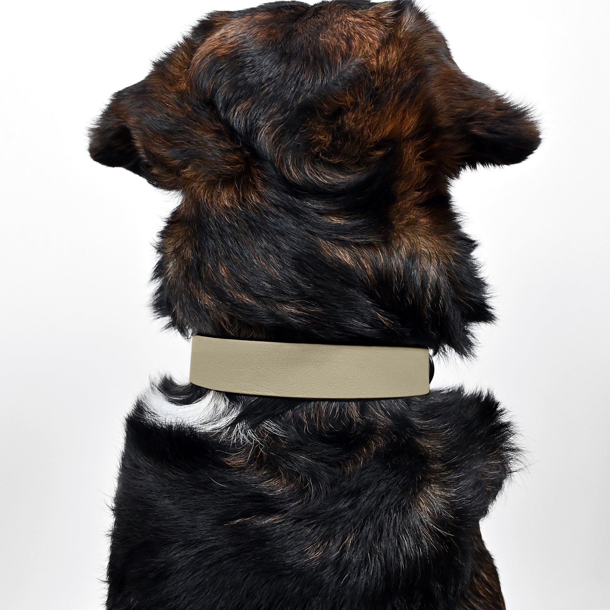 Biothane Halsband Beige