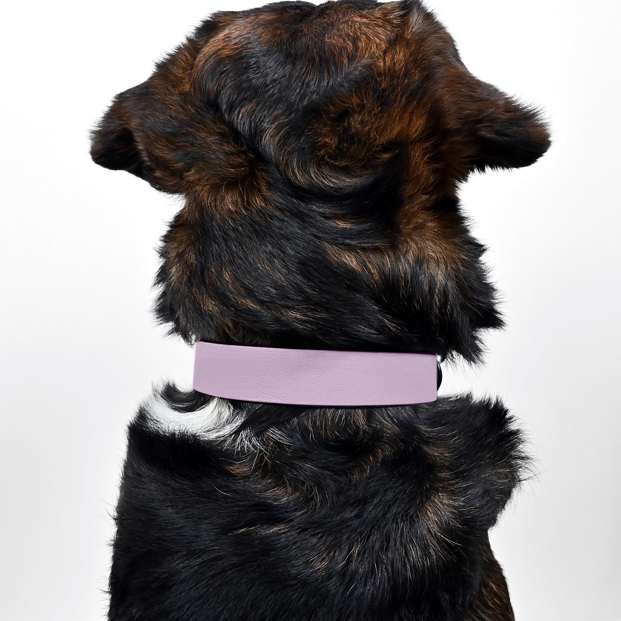 Biothane Hundehalsband Lavendel  THE DOG IDEA