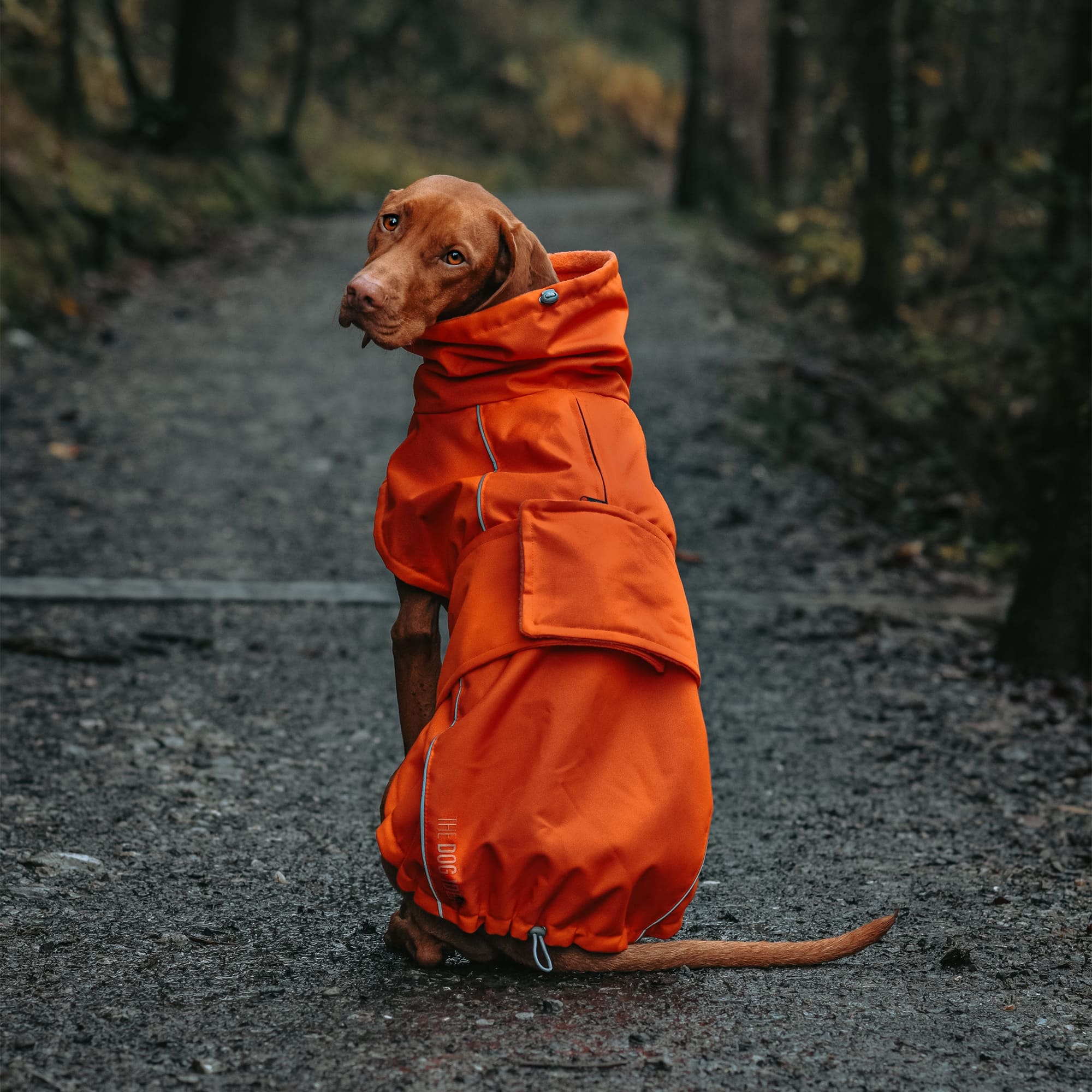 dog gear hundemantel Besonderer Hundemantel Winter in Orange