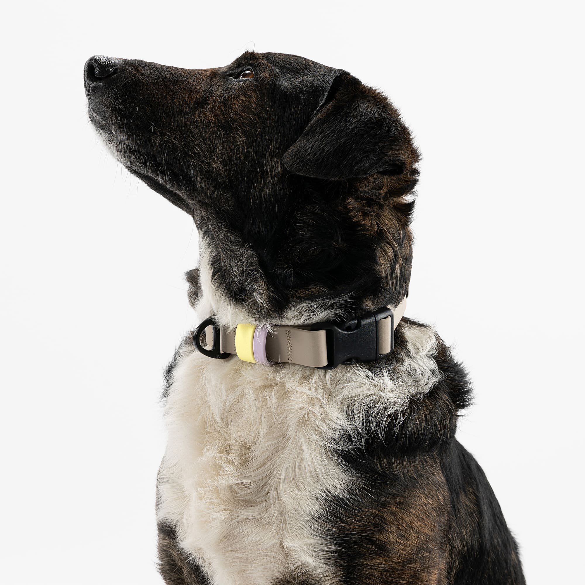 Biothane Halsband Taupe mit Klickverschluss | Limited Edition  THE DOG IDEA