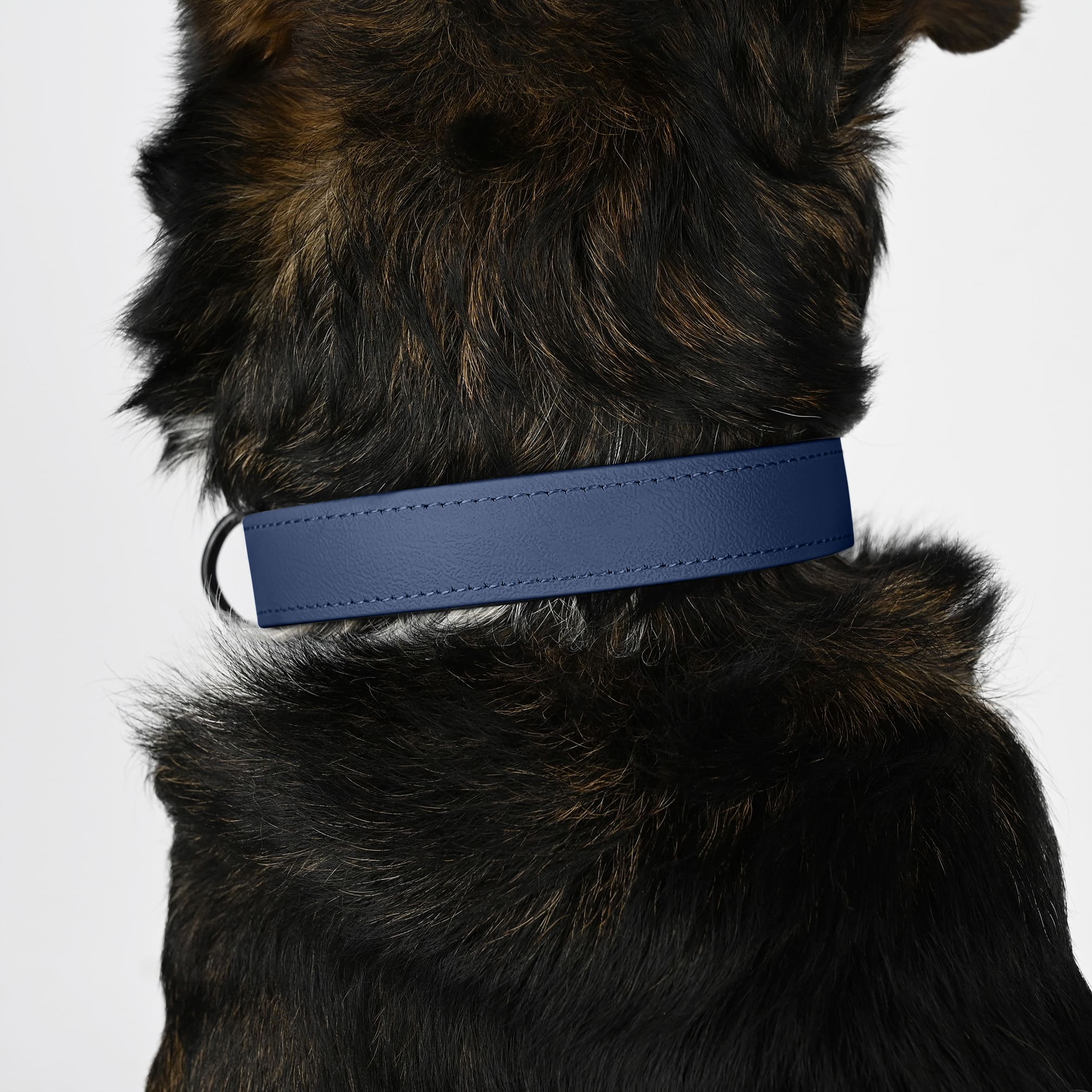 BioThane Halsband Navy
