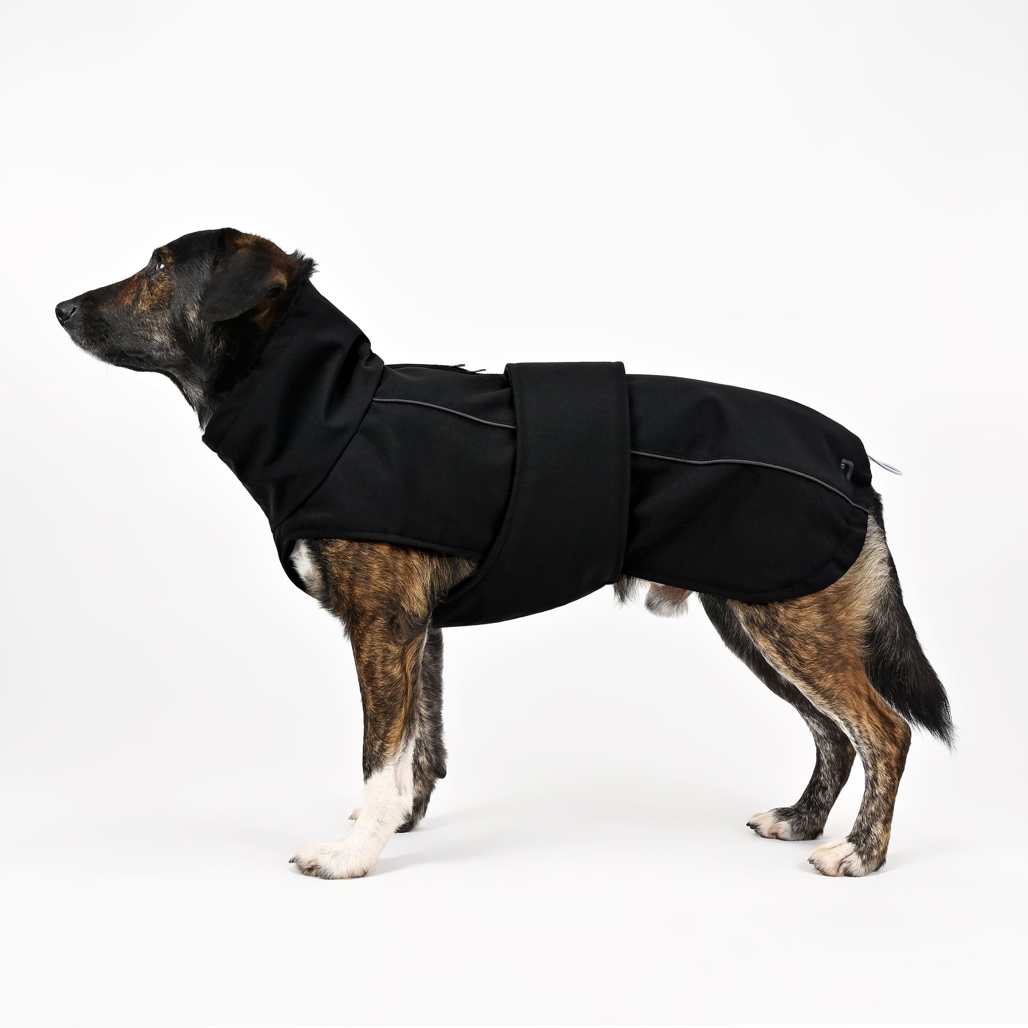 Hundemantel Winter All Black