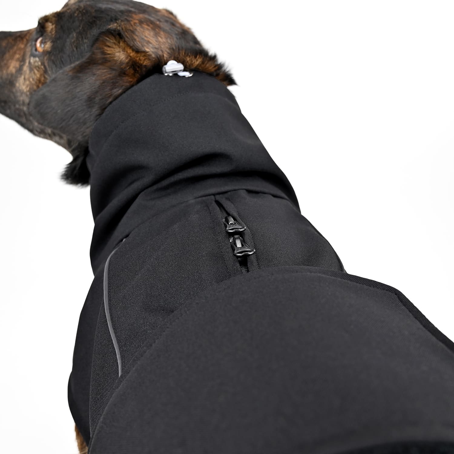 Hundemantel Winter All Black