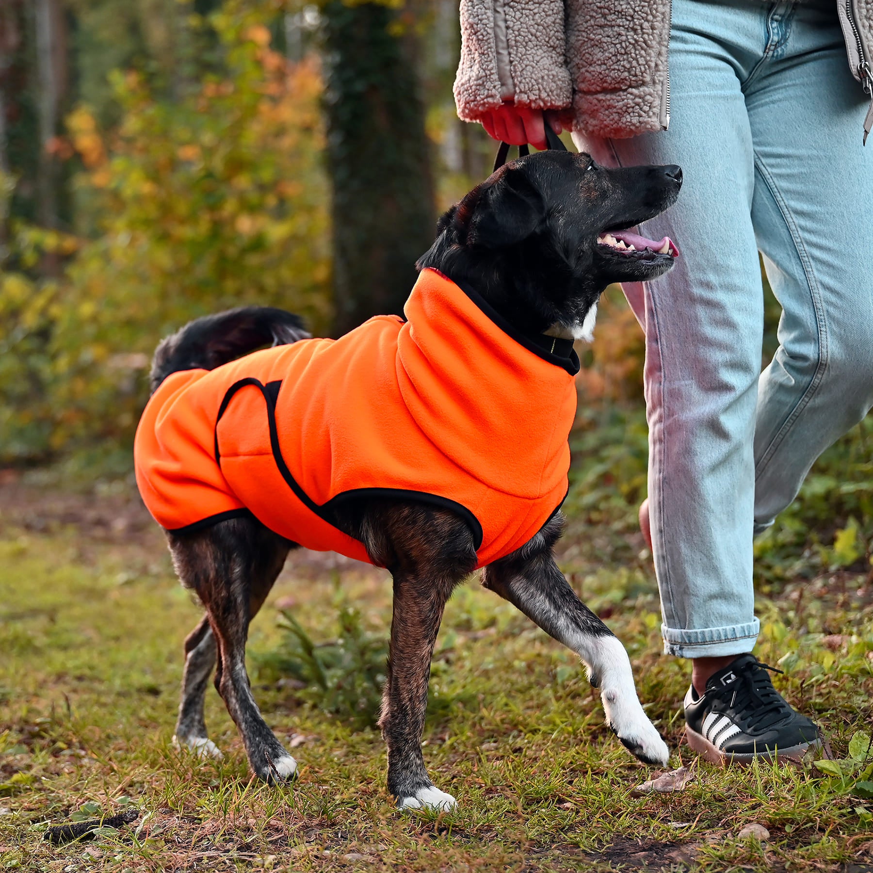 Hundepullover Buffalo Plaid – Roter Kapuzenpulli Mit Tasche Für Kleine Hunde (warm & Weich)