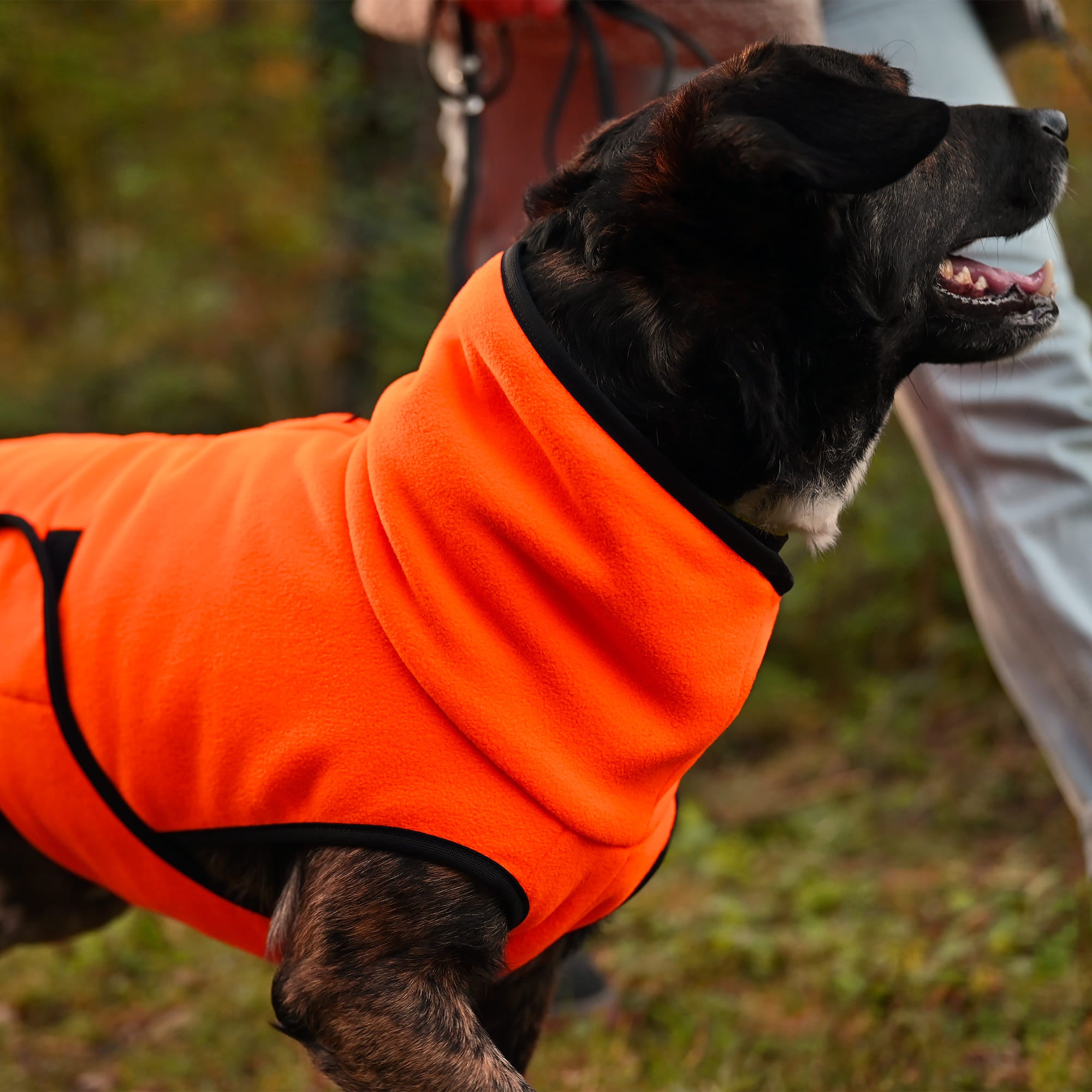 Hundepullover Buffalo Plaid – Roter Kapuzenpulli Mit Tasche Für Kleine Hunde (warm & Weich)