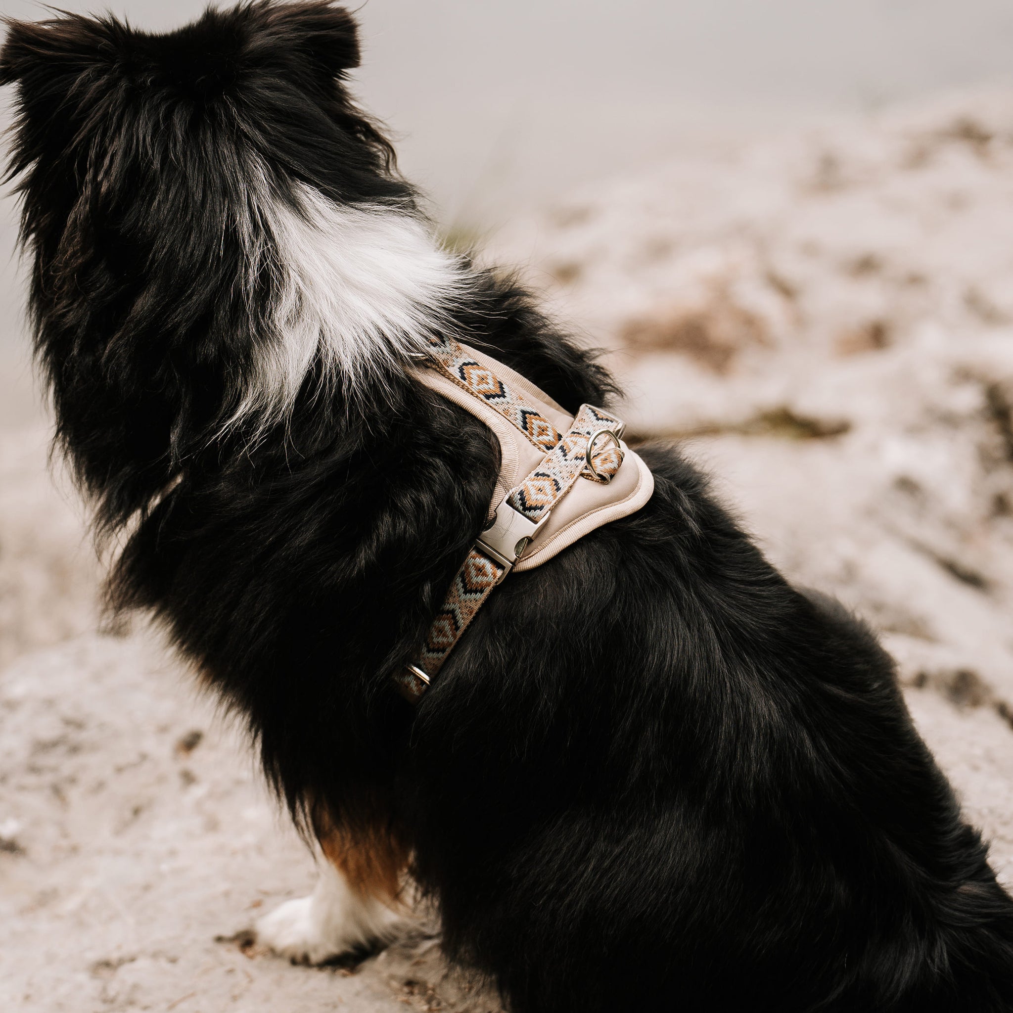 Gepolstertes Hundegeschirr Mokka