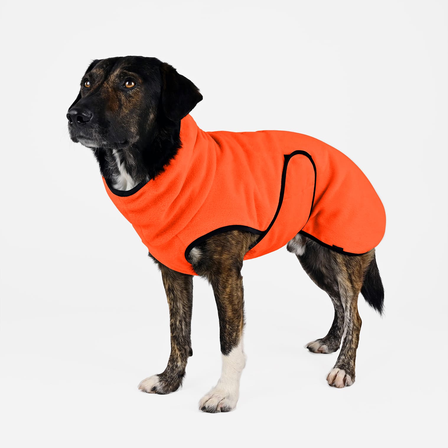 Hundepullover Buffalo Plaid – Roter Kapuzenpulli Mit Tasche Für Kleine Hunde (warm & Weich)