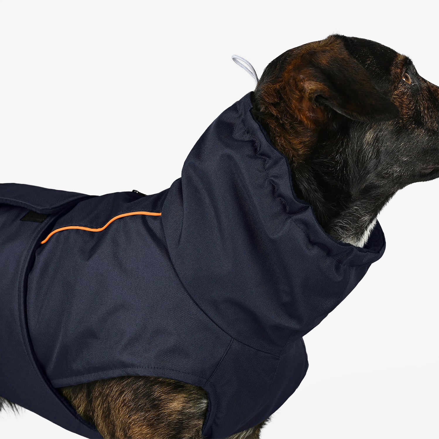 Hundemantel Winter Navy
