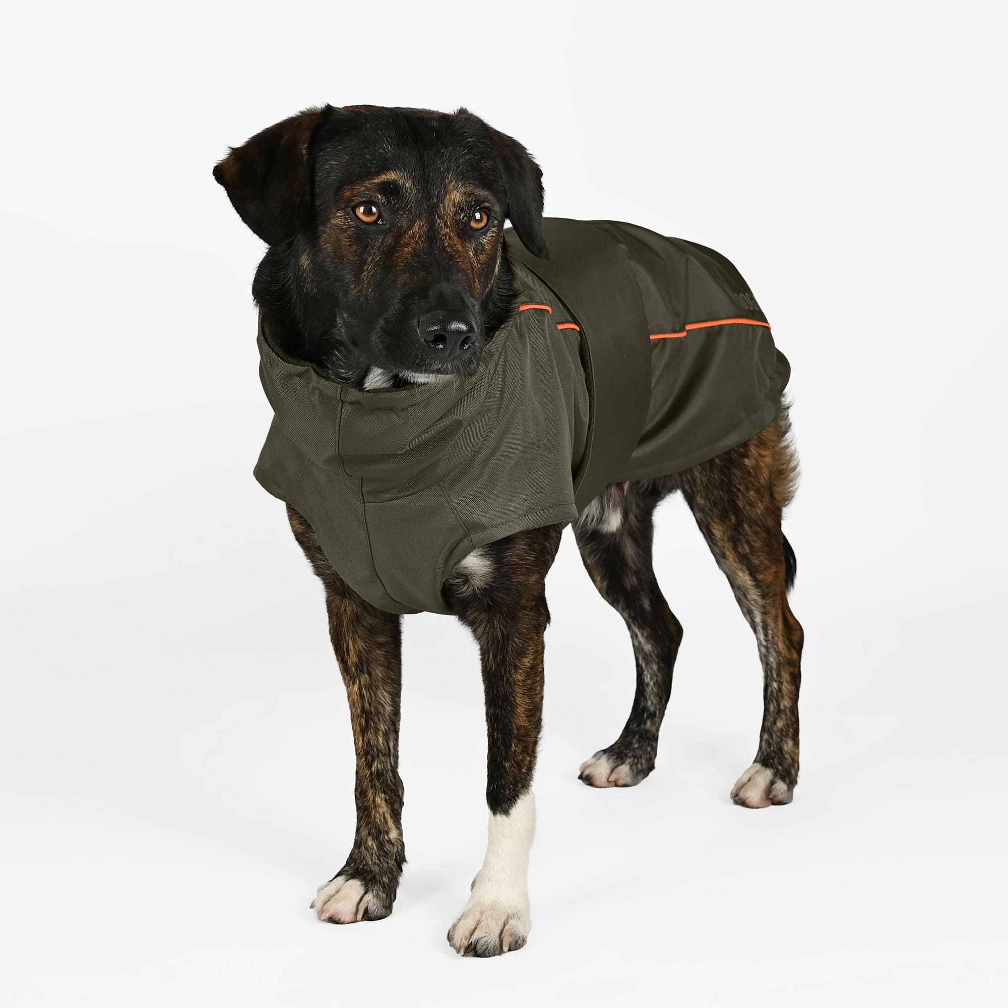 Wasserdichter Hundemantel Winter Khaki