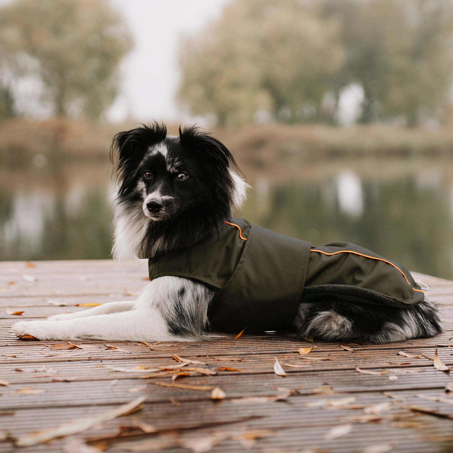 Wasserdichter Hundemantel Winter Khaki