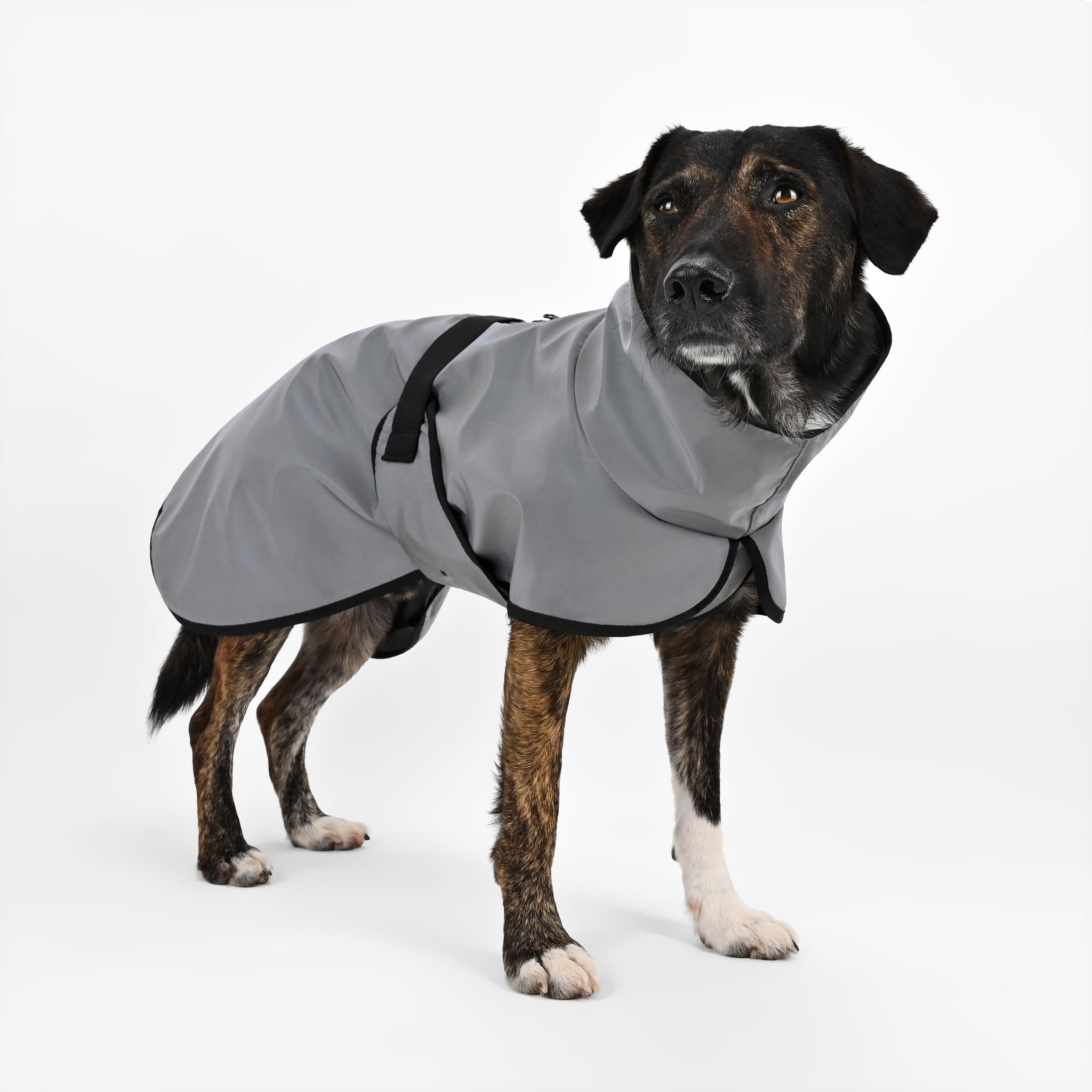 Reflektierender Softshell Hundemantel mit Bauchschutz – THE DOG IDEA