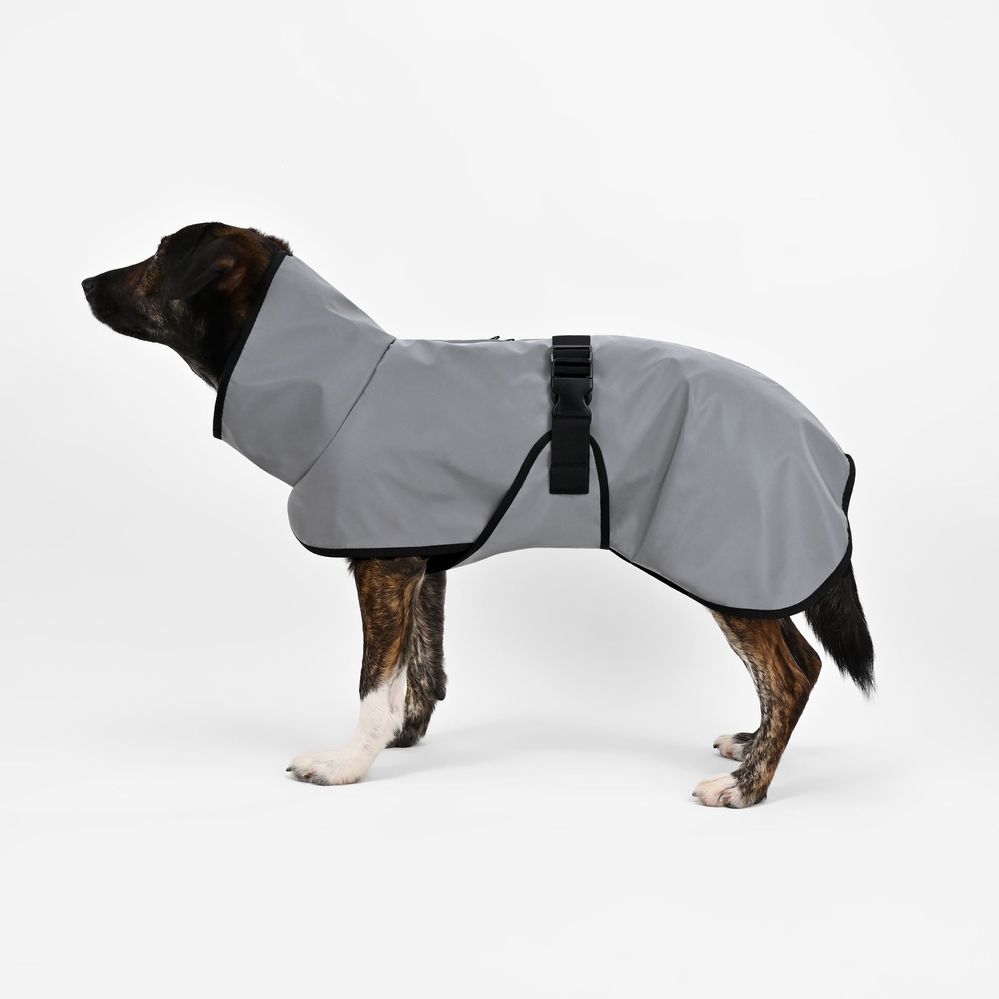 Reflektierender Softshell Hundemantel mit Bauchschutz  THE DOG IDEA