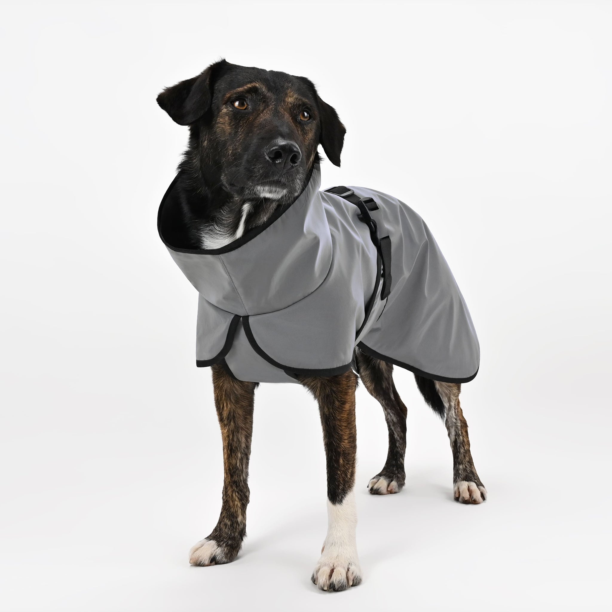 Reflektierender Softshell Hundemantel mit Bauchschutz – THE DOG IDEA