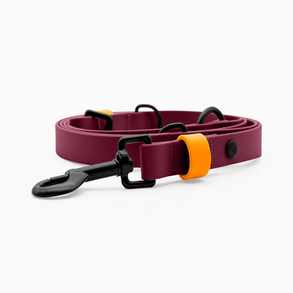 bestes welpen nassfutter Hunde Nassfutter online bestellen main image 0