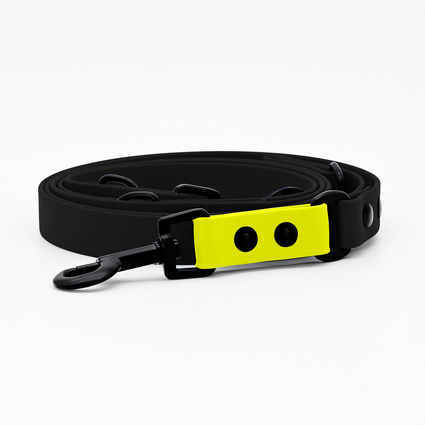 Buckle-Down Hundeleine Mit Zuckerschädel-Design – Stylisch & Langlebig, 122 Cm Lang