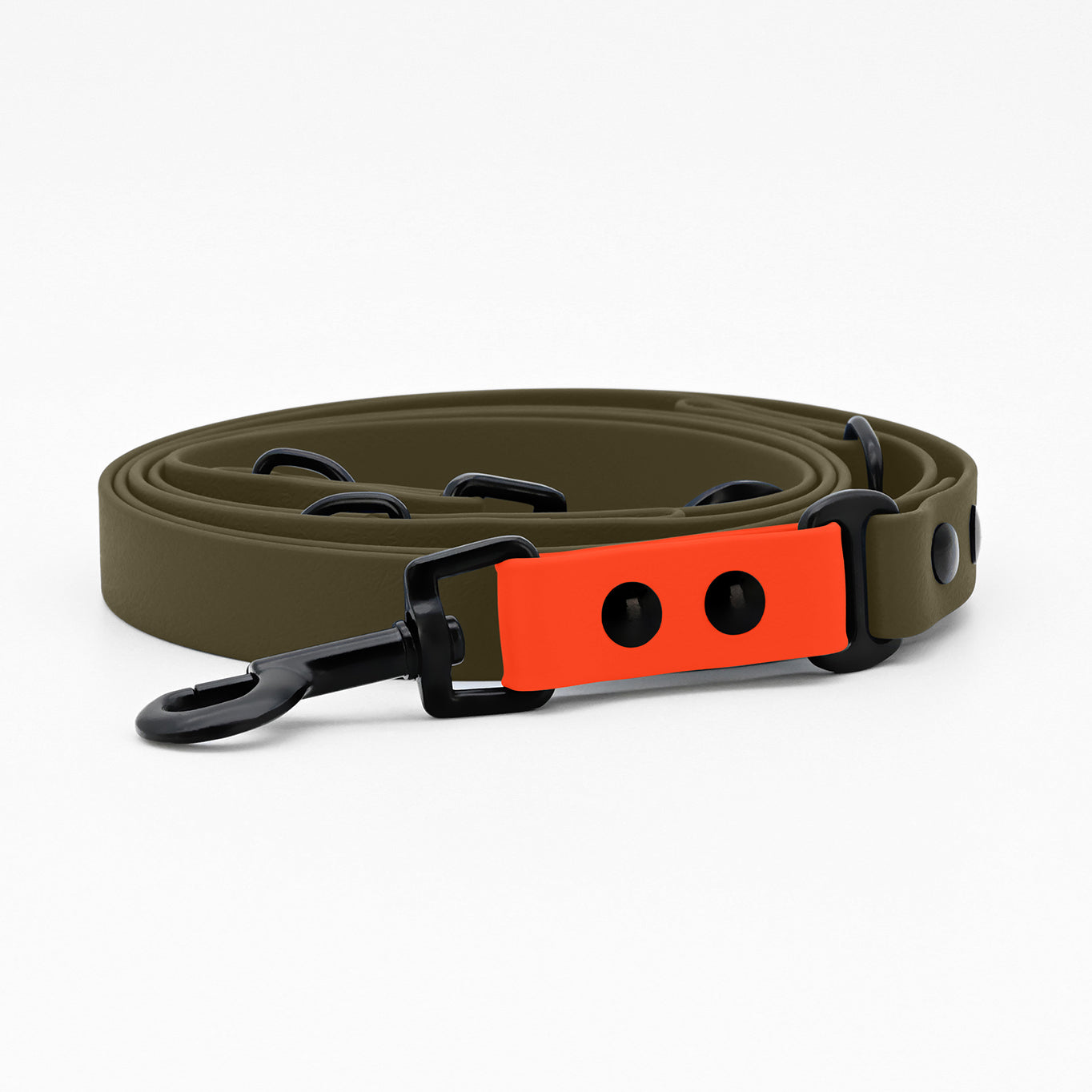 Buckle-Down Hundeleine Mit Zuckerschädel-Design – Stylisch & Langlebig, 122 Cm Lang