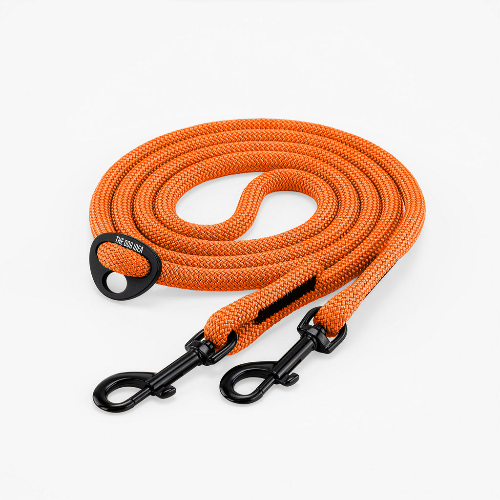 Tau Hundeleine kaufen | verstellbar und robust  THE DOG IDEA
