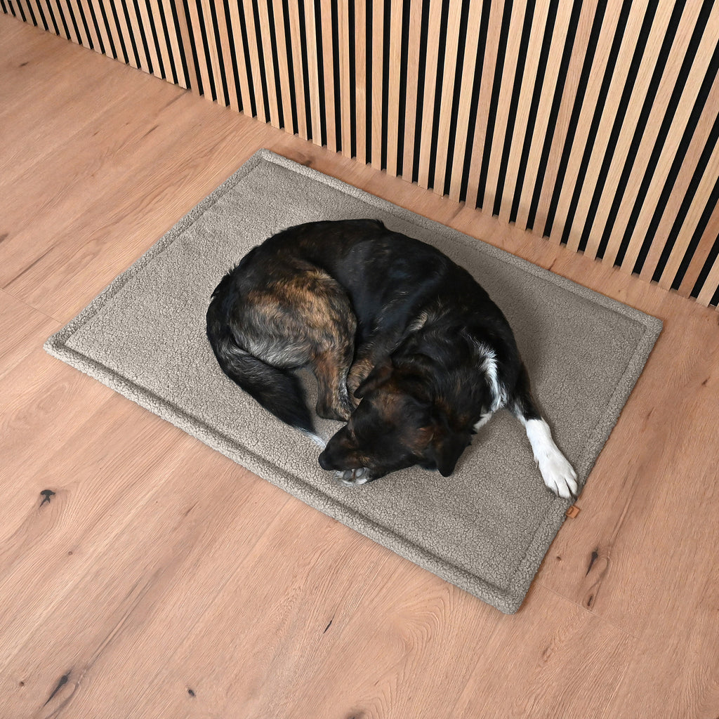 Hund liegt auf einer Matte aus Teddstoff in Grau
