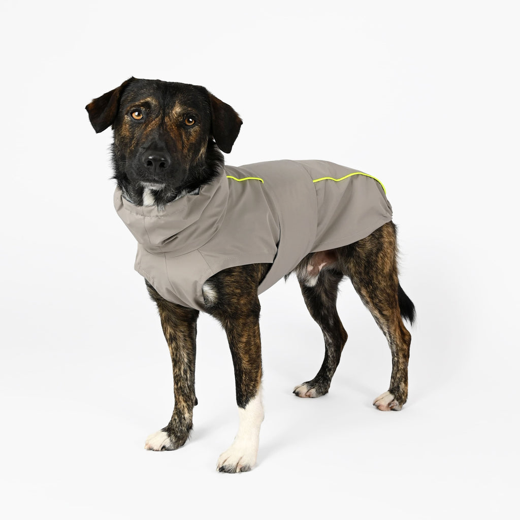 Hund trägt einen grauen Regenmantel mit gelbem Reflektor