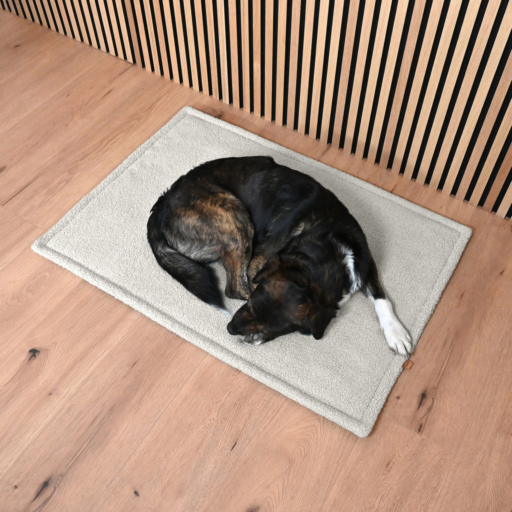 Hund liegt auf einer Hundematte aus Teddystoff