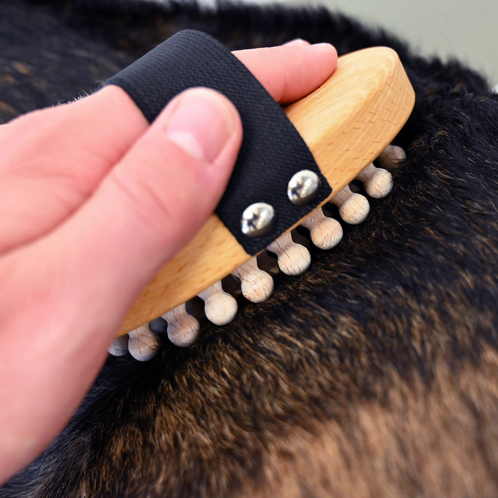 Hund wird mit einer Massagebürste massiert