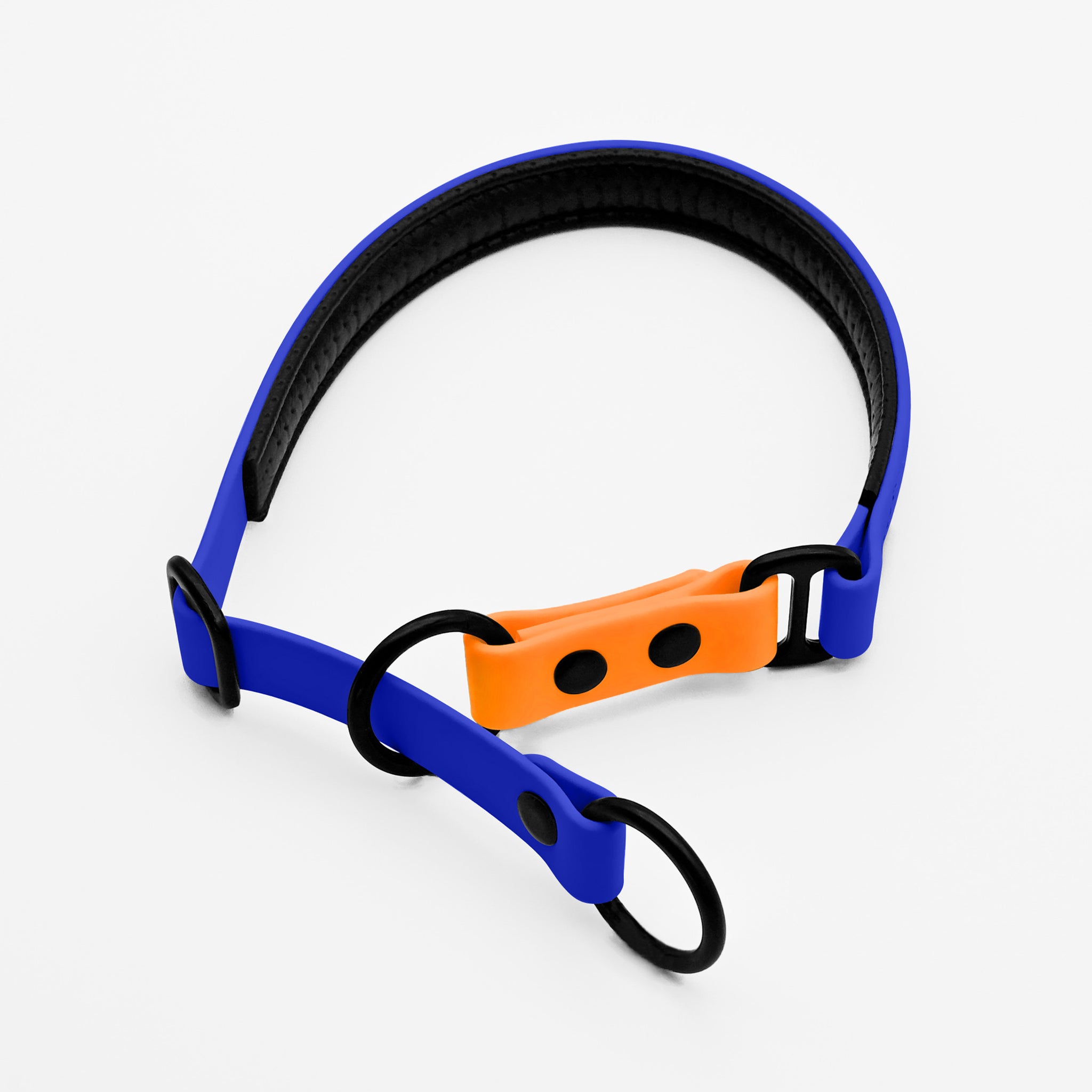 C&L Hundehalsband Aus BioThane® – 25 Mm, 55 Cm, Schwarz – Strapazierfähig & Wasserfest