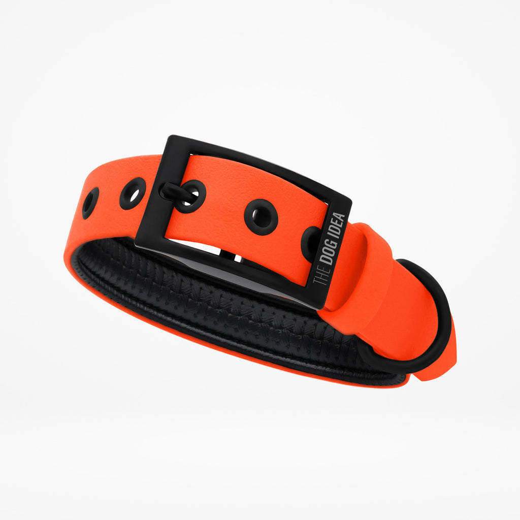 Gepolstertes Biothane Hundehalsband in Orange mit schwarzer Schnalle 