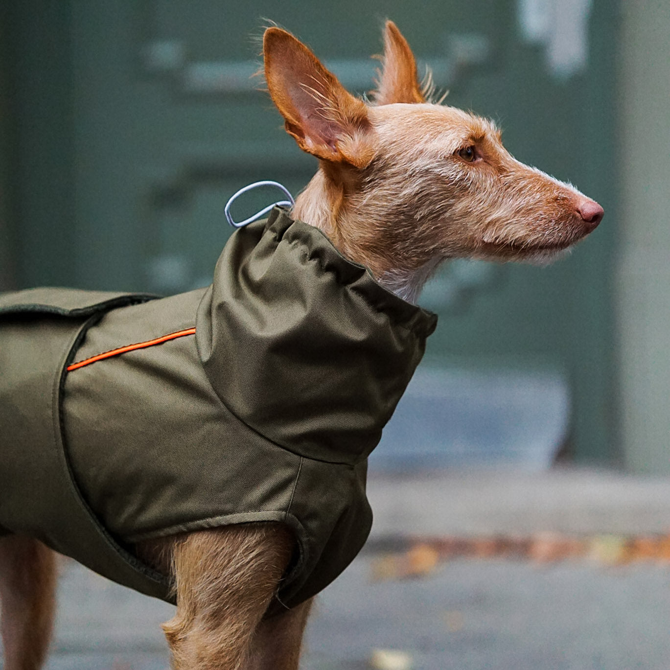 Wasserdichter Hundemantel Winter Khaki