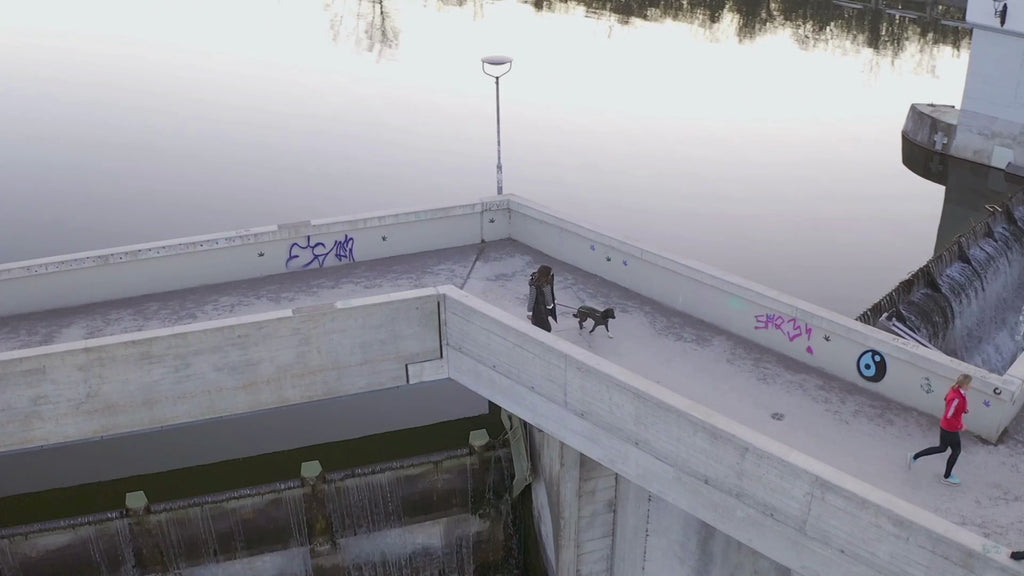 Unternehmensvideo THE DOG IDEA Über uns